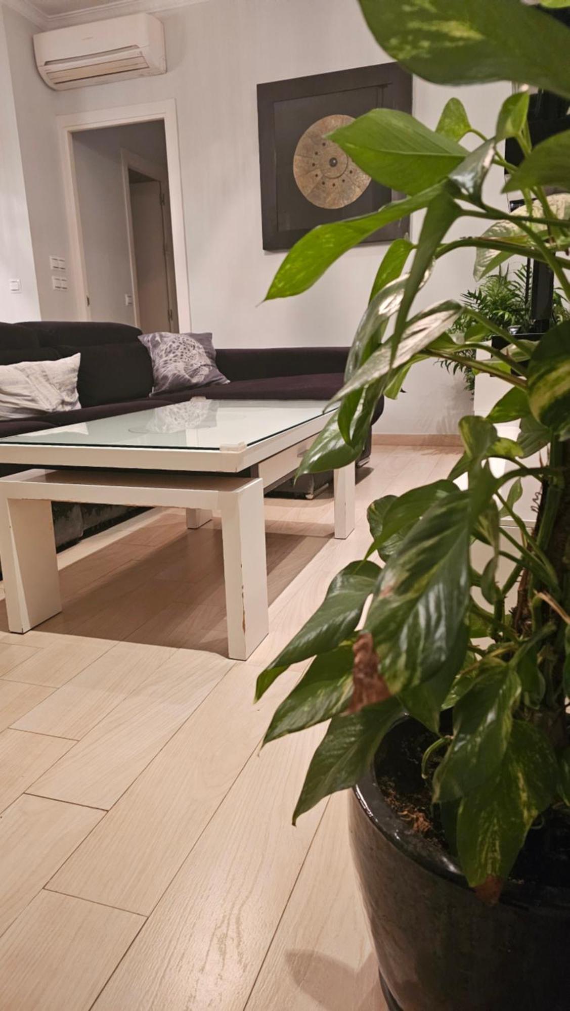 Apartment Stylish Old Town Marbella